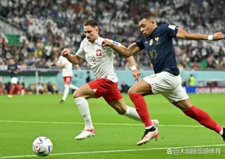 没想到(2018年法国队决赛阵容)2018年世界杯冠军法国队阵容,8强诞生!外媒更新夺冠概率:法国第12%,葡萄牙14%,一队高达33%, 没想到(2018年法国队决赛阵容)2018年世界杯冠军法国队阵容,8强诞生!外媒更新夺冠概率:法国第12%,葡萄牙14%,一队高达33%,